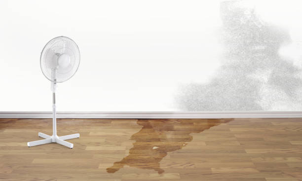 Best 24-hour water damage restoration  in Woodstock, VA