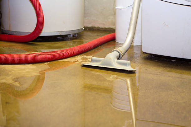 Best Flood damage cleanup  in Woodstock, VA