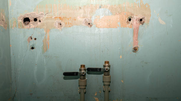 Best Water damage restoration near me  in Woodstock, VA