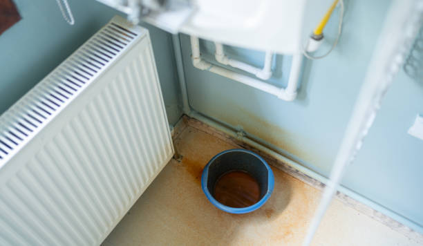 Best Mold removal after water damage  in Woodstock, VA