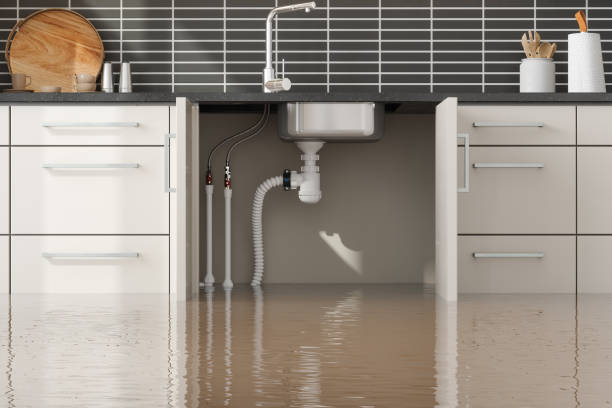 Best Water damage restoration mold remediation  in Woodstock, VA