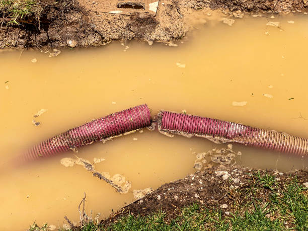 Best Emergency water damage restoration  in Woodstock, VA