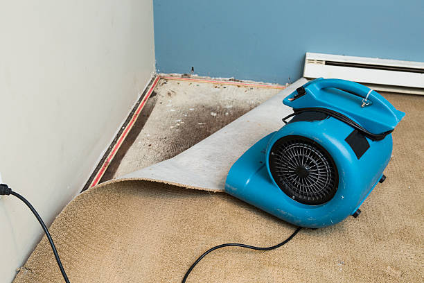 Water damage restoration mold remediation in Woodstock, VA